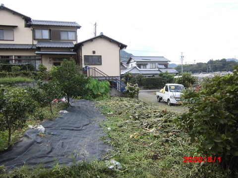 CIMG2473