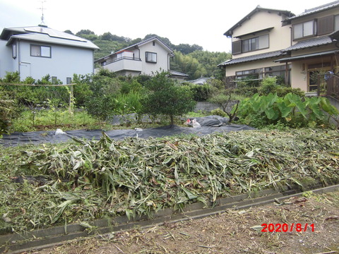CIMG2476