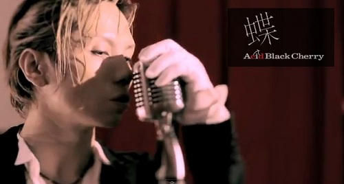 blなpv Acid Black Cherry 蝶 好きすぎる Blの萌えを吐くブログ Blのおすすめをご紹介 blなpv Acid Black Cherry 蝶 好きすぎる Blの萌えを吐くブログ Blのおすすめをご紹介