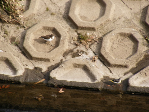 DSCF0070