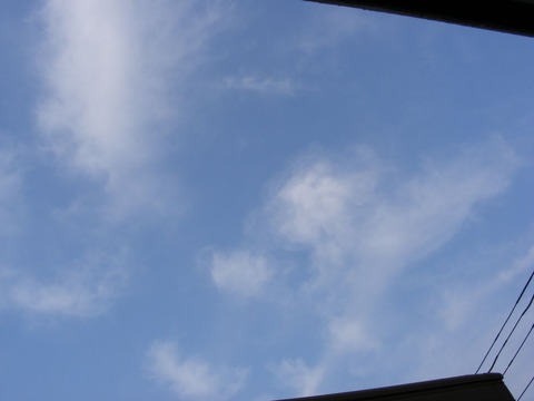 7290b647.jpg