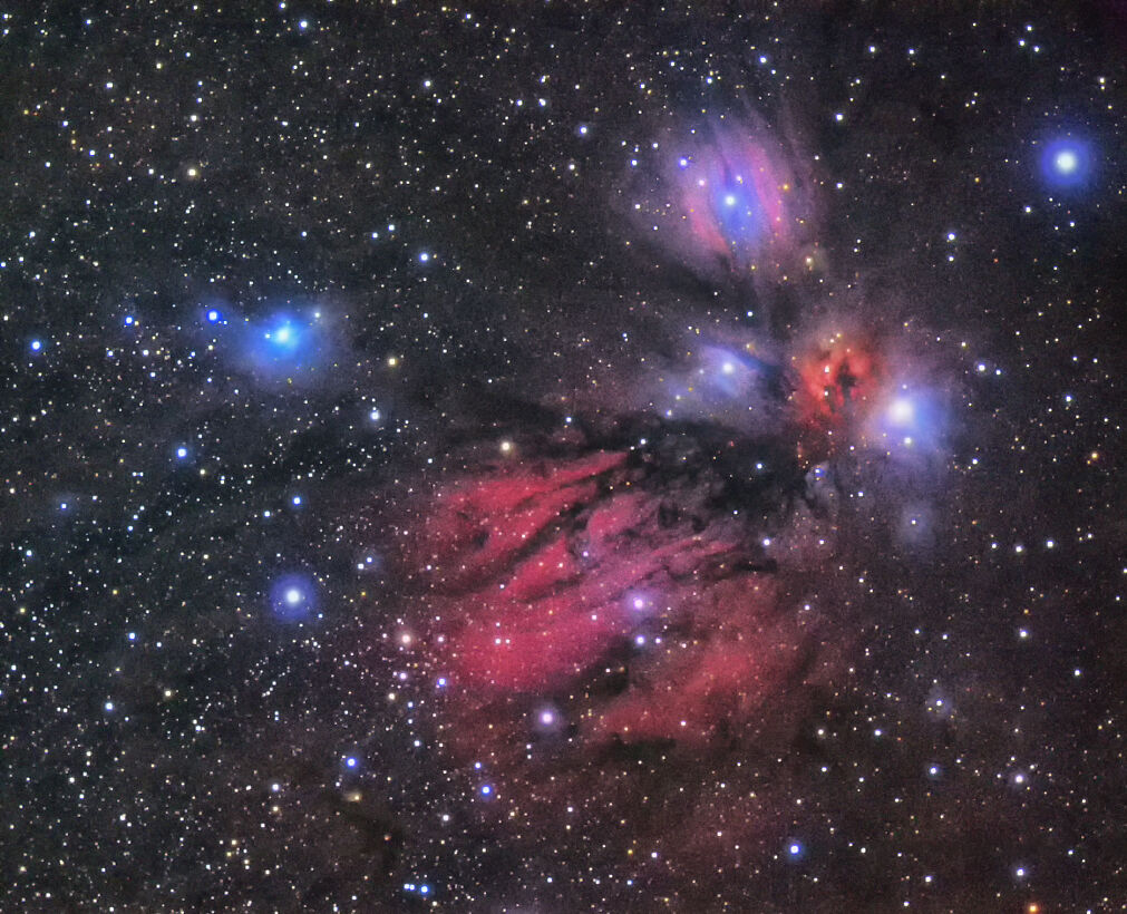 冬空を舞う鳳凰“NGC2170” : 宙のジグソーパズル