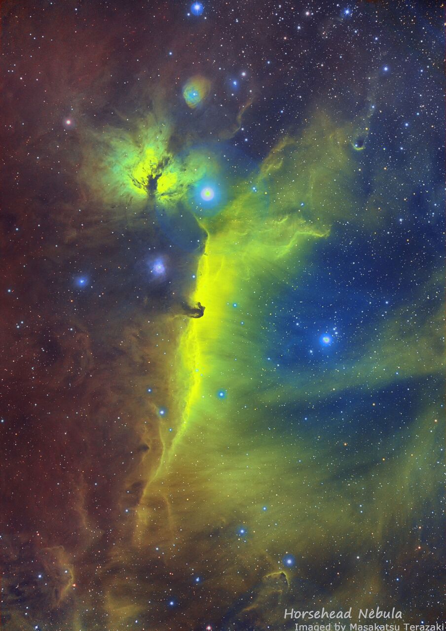 オリオン座 馬頭星雲 の画像処理を行いました 宙のジグソーパズル