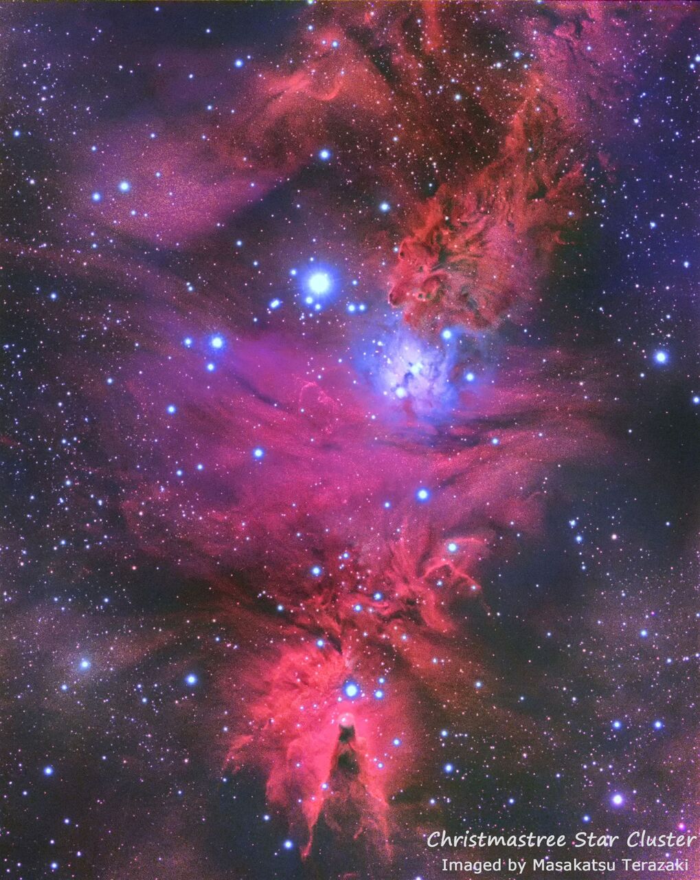 天空に輝くChristmas Tree🌲 : 宙のジグソーパズル 天空に輝くChristmas Tree🌲 : 宙のジグソーパズル