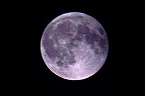 08ad5f40.jpg