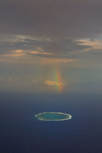 20100905DSC_6345にじとりー