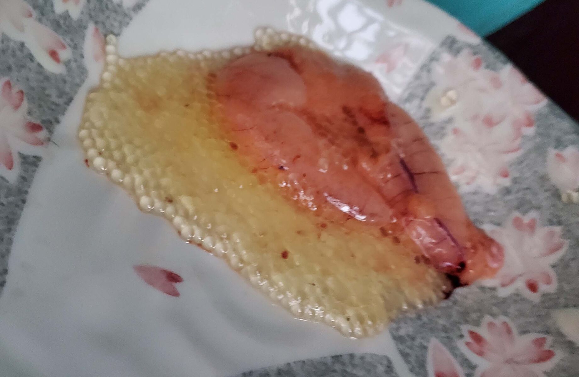 ダツが 空の履歴