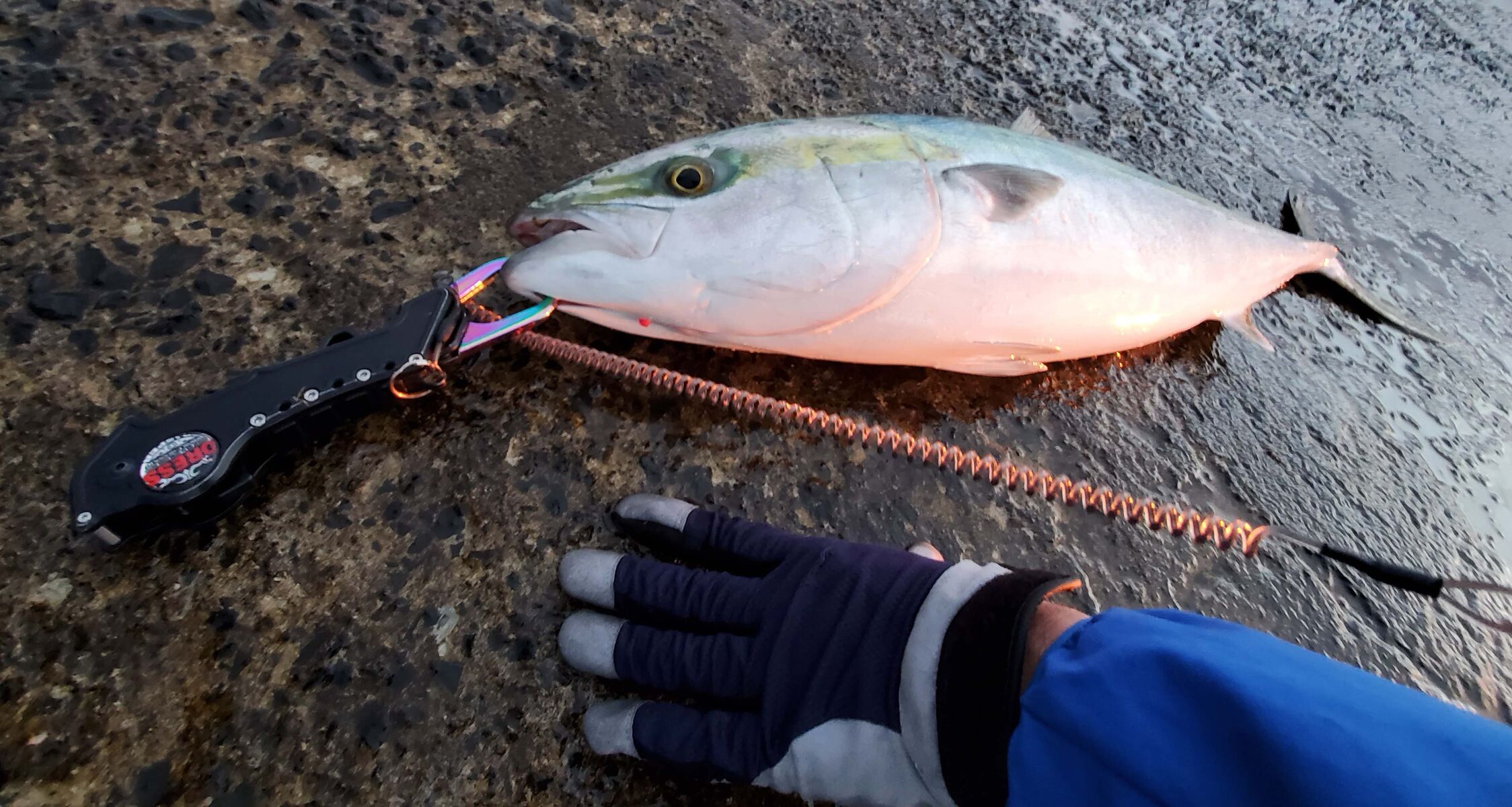 堤防からブリって釣れるんですね 空の履歴 堤防からブリって釣れるんですね 空の履歴