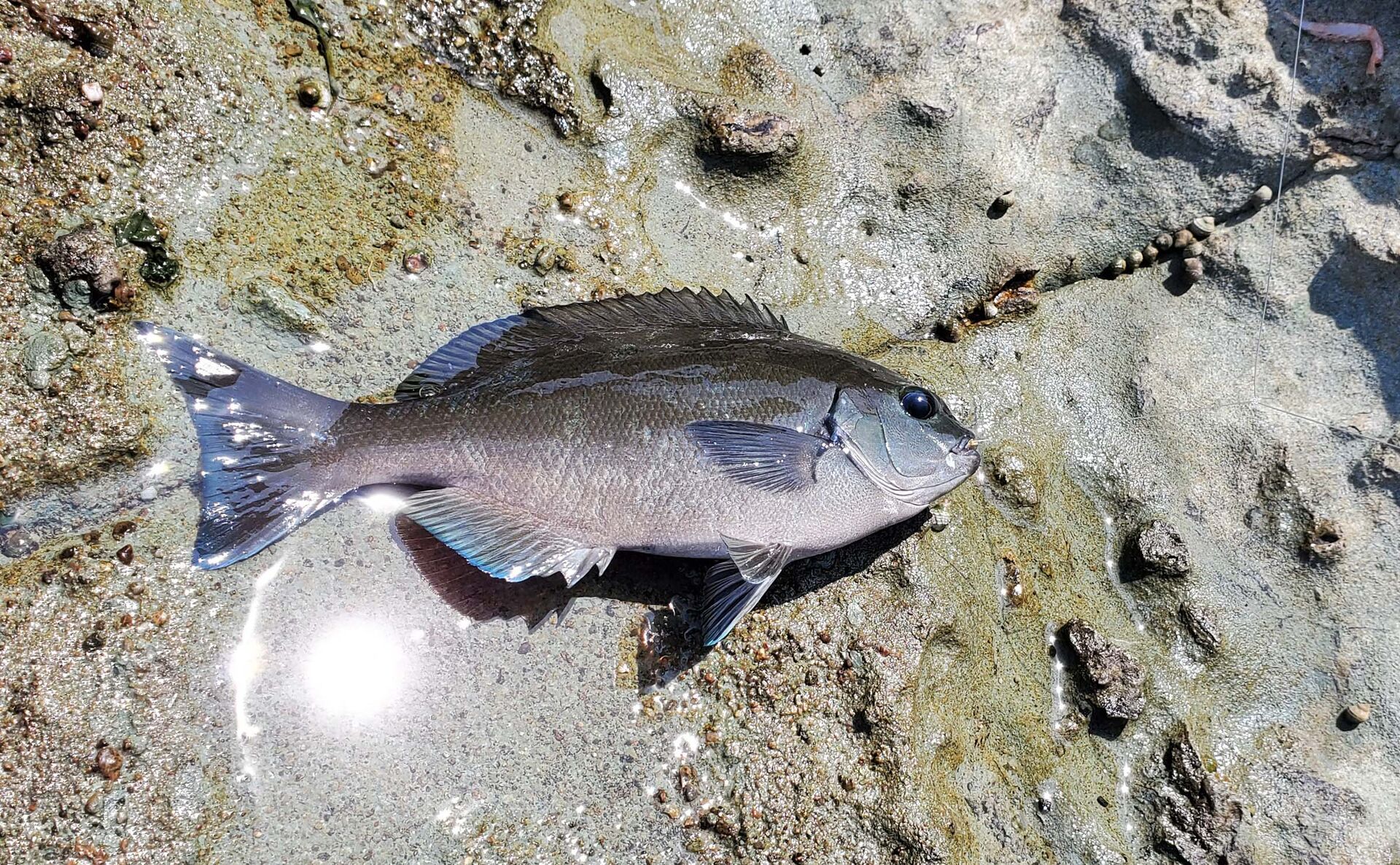 空の履歴 気ままな釣り