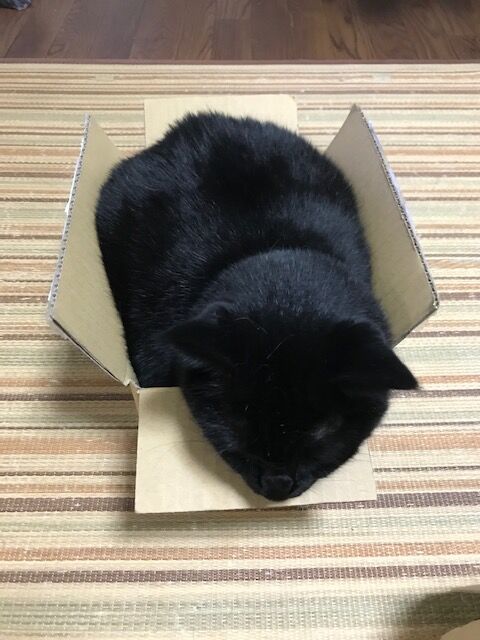 ¥¸¥¸jpg