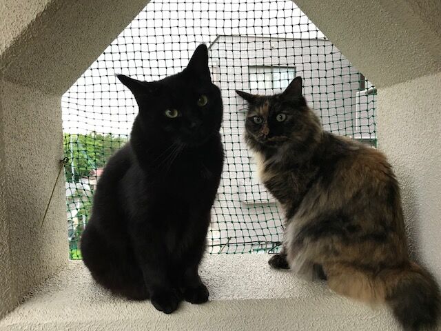 IMG_ǭ��٥���