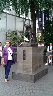 �ʎ���