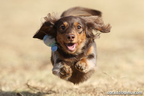 13_1208-21_2のコピー