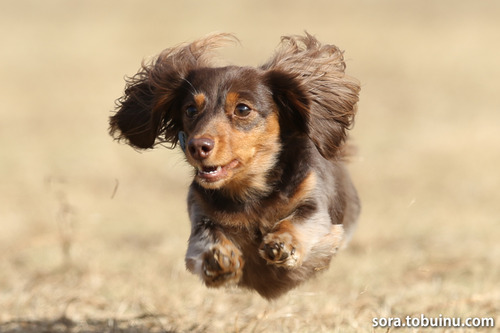 13_1208-21_3のコピー