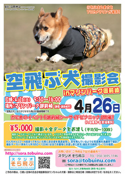omaezaki_14-4