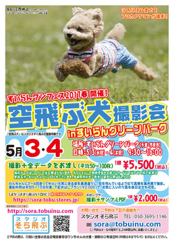suiran_17-5