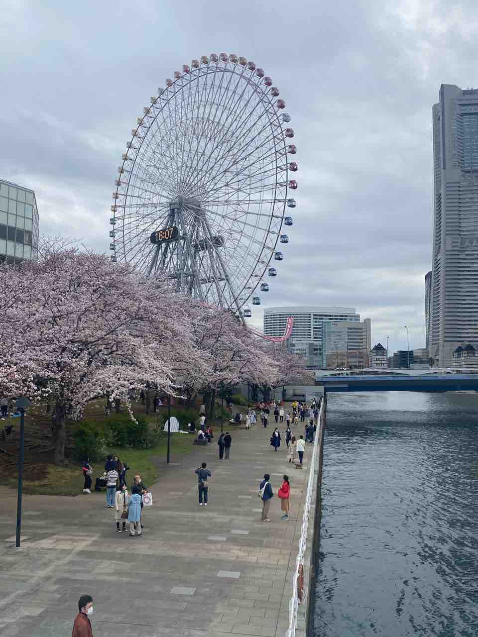 花より会話 そら日記 気象研究室team Sora