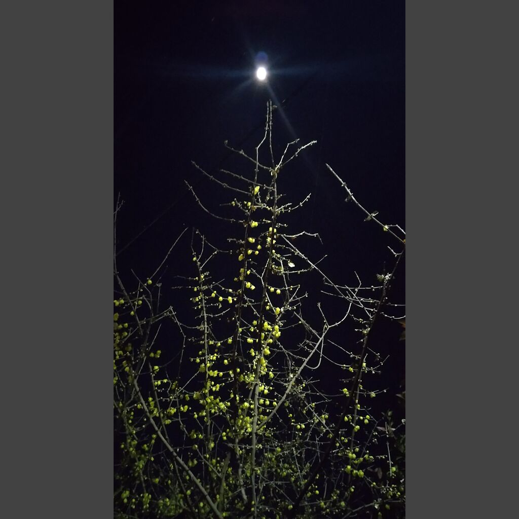 Picsart_22-01-16_23-13-38-569
