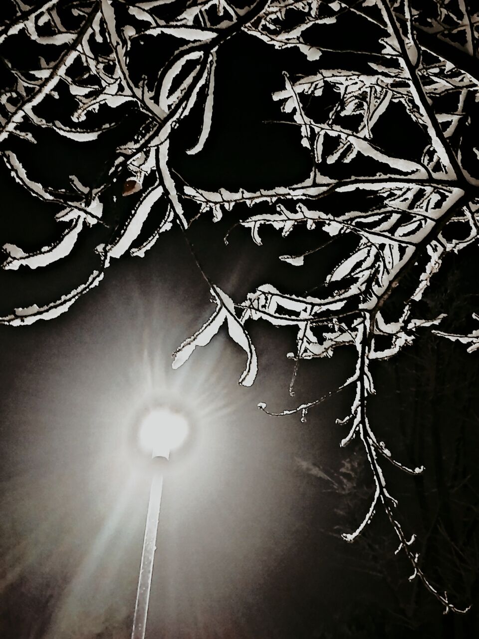 Picsart_22-01-08_00-07-42-707