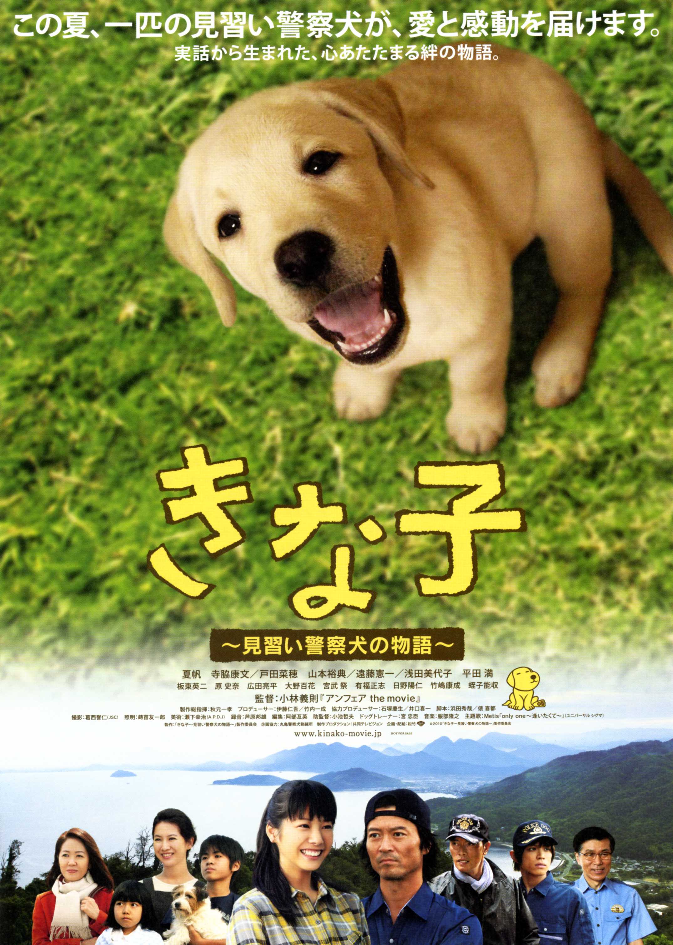 映 画 【きな子 ～見習い警察犬の物語～】 邦画スピリット