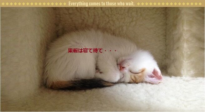 待つ とは Sosegon魂