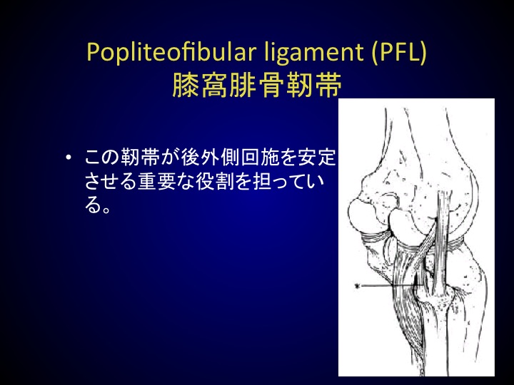 整形外科　解剖 51fwI5JpBmL._UF350,350_QL50_.jpg