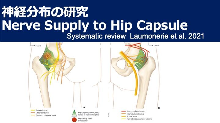 関節包を切開しない新しい股関節鏡視下手術 Vol 1. なぜ関節包を 関節包を切開しない新しい股関節鏡視下手術 Vol 1. なぜ関節包を