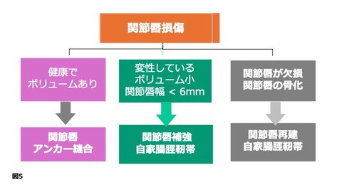 ���륳゙�ꥹ゙��