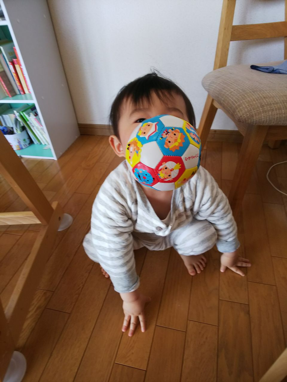18 2 7 2歳5ヶ月 後ろ姿を追って2 18 2 7 2歳5ヶ月 後ろ姿を追って2