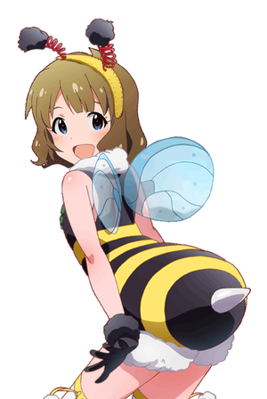 蜜蜂桃子
