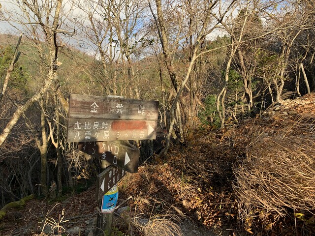武奈ヶ岳 標高1214m In The Air 武奈ヶ岳 標高1214m In The Air