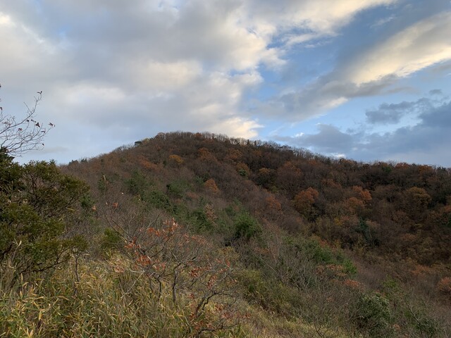 寺山（標高293m） :  in the air