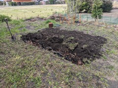 PXL_20240301_233830363