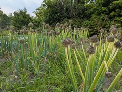 PXL_20260610_224142100