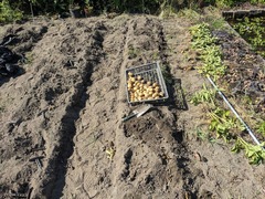 PXL_20240611_233959379