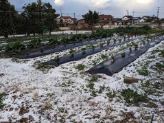 PXL_20221218_230641313