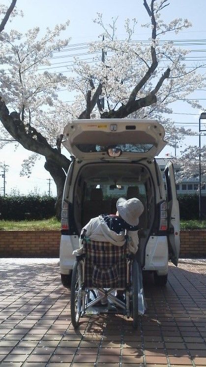 イメージ 1