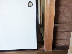 PXL_20240718_063453608