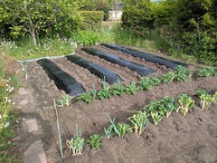 PXL_20250517_074047524