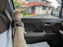 PXL_20250422_210738044