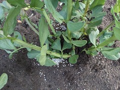 PXL_20230407_215834320