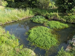 PXL_20250909_071922116