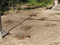 PXL_20240722_225030949