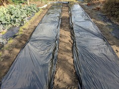 PXL_20220211_060605976.MP