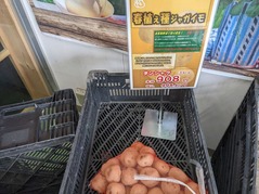 PXL_20220109_021036069