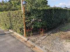 PXL_20240930_233834368