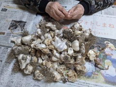 PXL_20241110_022405281