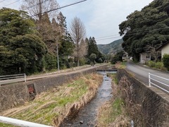 PXL_20260330_044246766