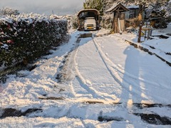 PXL_20250222_225227660