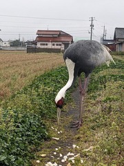 PXL_20240324_225917253